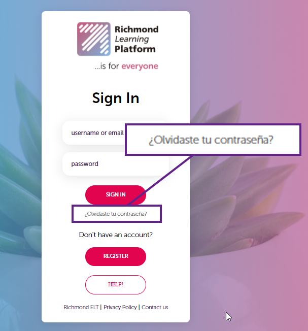 1_2 Liga Olvidaste.png