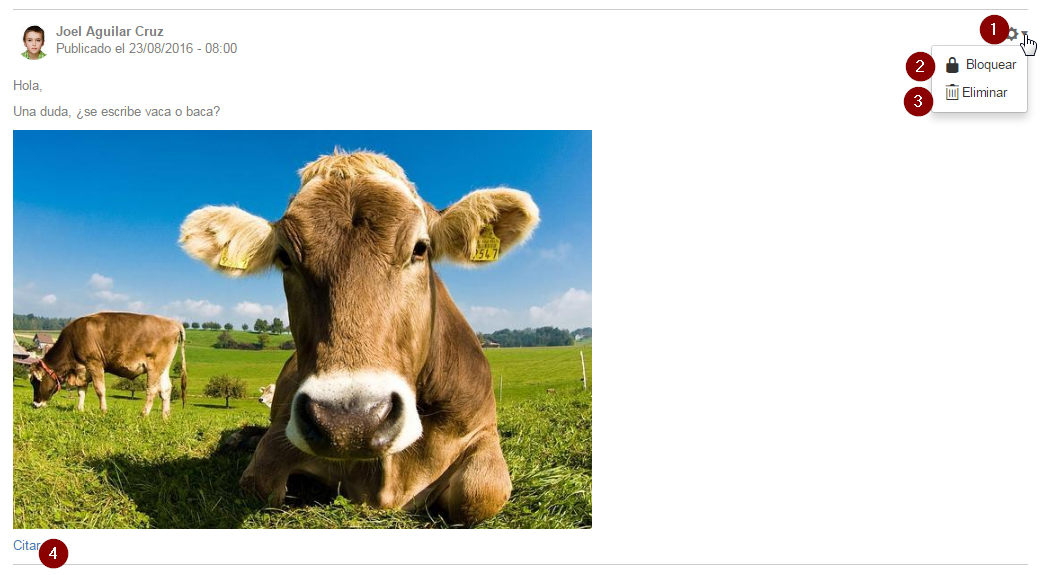 2016-10-04 13_49_48-LMS - Ver tema.png