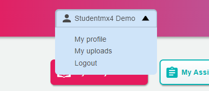 Pantalla my profile.png